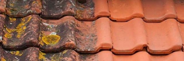 MOOSALARM - Profis für Dachreinigung - Dachinstandhaltung Franken, Oberpfalz, Ob - Handwerk Hausbau Garten - Weißenburg in Bayern