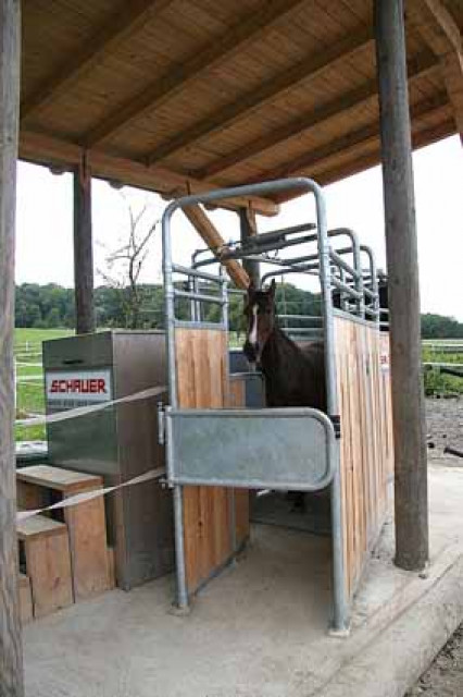 Neuheiten: Bewegungsstall - Tiere - Prambachkirchen