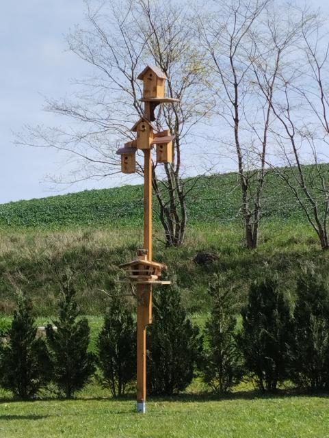 Vogelparadis mit mehreren Vogelhäusern - Tiere - Wardow