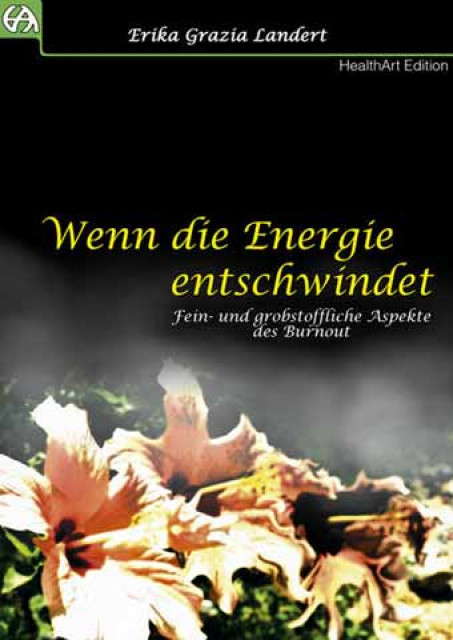 Wenn die Energie entschwindet - Lernen Lehren Lesen - Los Llanos de Ar