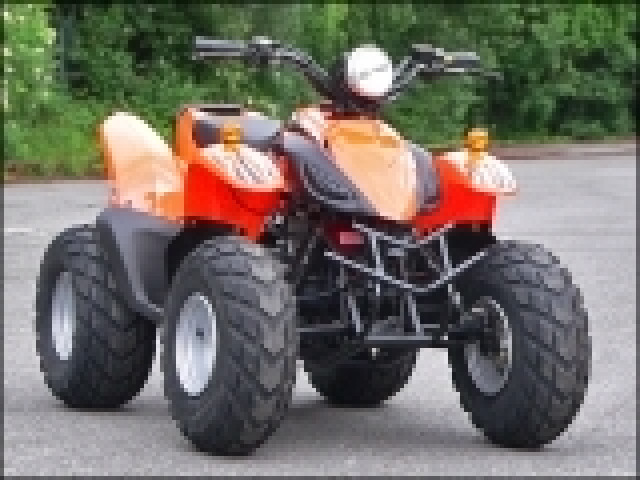 ATV Dolphin 50cc mit Zulassung - Motorrad Specials - 