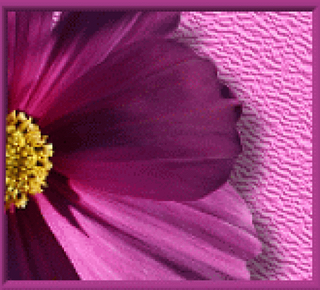 Mediales Kartenlegen, Reiki - Kommunikation - 