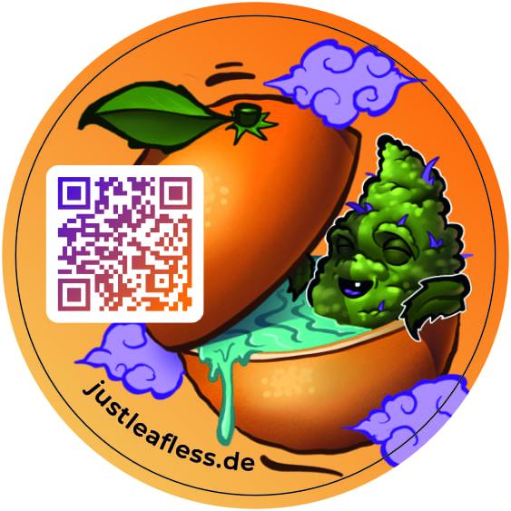 Orange Bud CBD Buds - Wellness Gesundheit - Leipzig