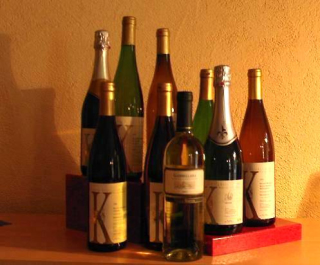 Eigene Wein- und Sektagentur - Essen Trinken Genuss - Ribnitz-Damgarte