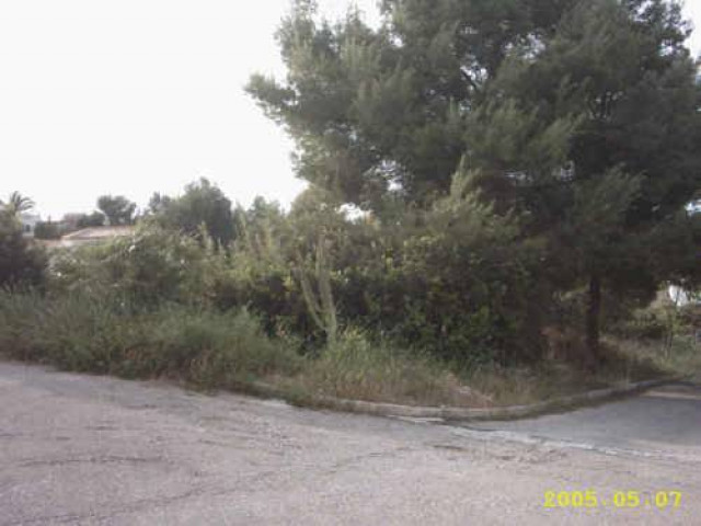Denia ( Marquesa) - Immobilien - san fulgencio