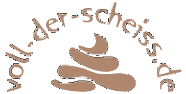 VdS- Bürger-Forum - Kommunikation - Lüneburg