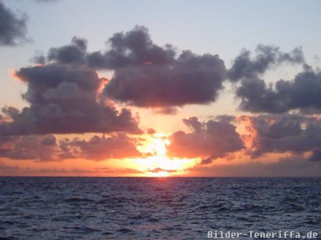 Bilder von Teneriffa - Urlaub Reise - Santa Barbara Ic