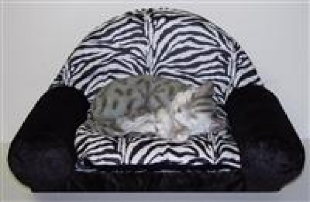 Edles Sofa für Stubentiger - Tiere - Südbrookmerland