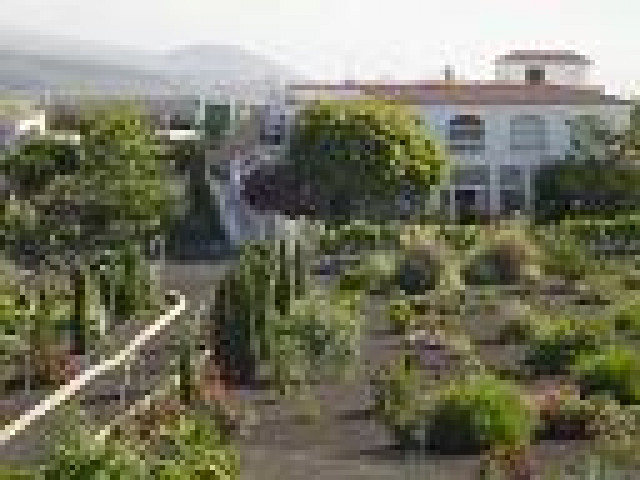 Ferienwohnung Teneriffa-Süd - Ferienwohnung Haus - Villa de Arico