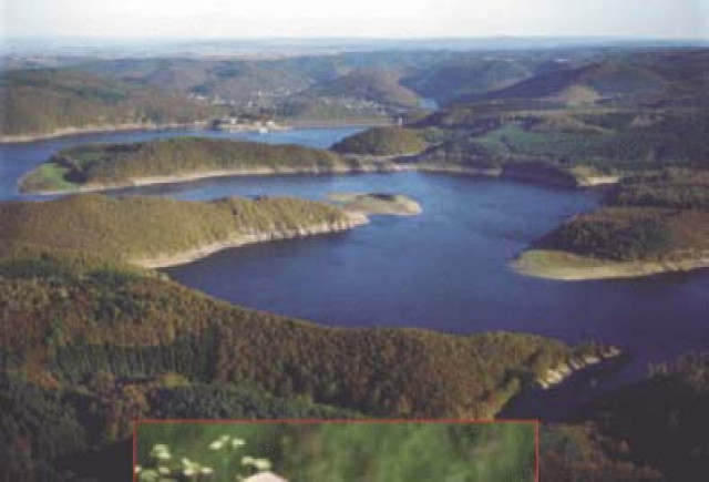 Gruppenhaus bis 45 Eifel - Urlaub Reise - Rurberg