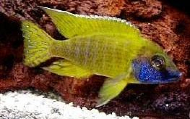 Aqua Sonder Aktion - Tiere - Gladbeck