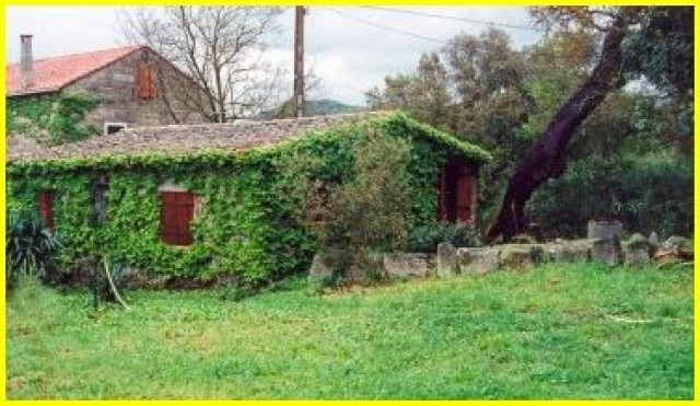 Typisches korsiches Ferienhaus - Urlaub Reise - Sainte Lucie de Porto Vecchio