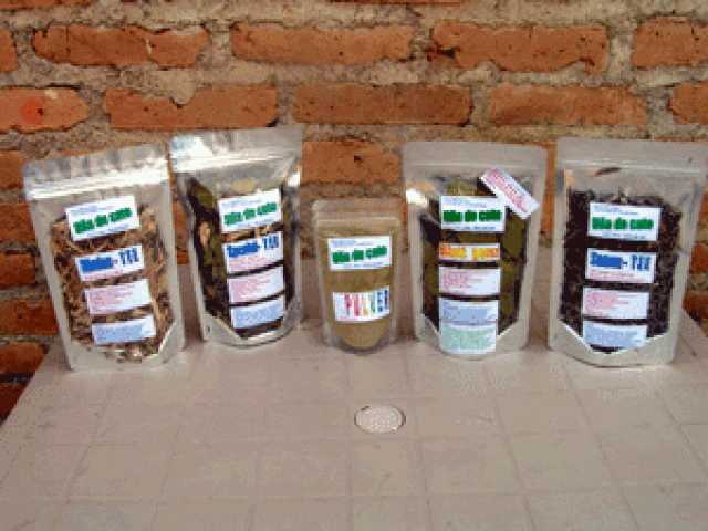 Katzenkralle - Wellness Gesundheit - Somoto Nicaragua