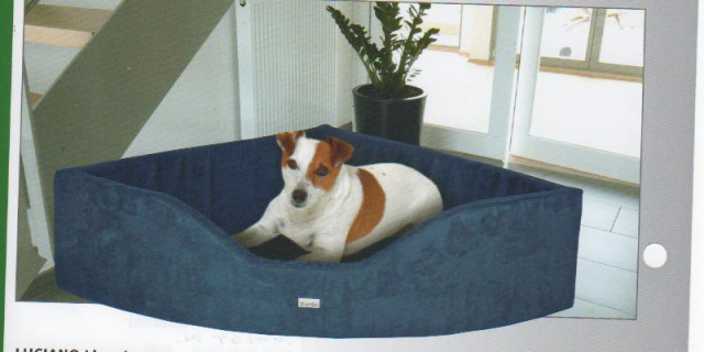 Luxus für den Hund - Tiere - garbsen