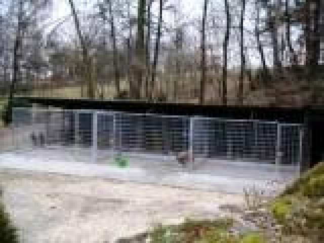 Hundepension-Betreuung - Tiere - Offenberg Hundepension-Betreuung - Tiere - Offenberg