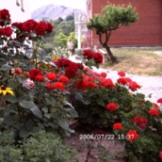 Ferienhaus, FEWO  in Budapest - Urlaub Reise - Budapest - Budao