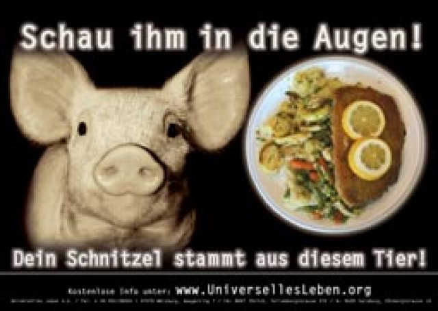 Menschen, esst kein Fleisch! - Essen Trinken Genuss - 