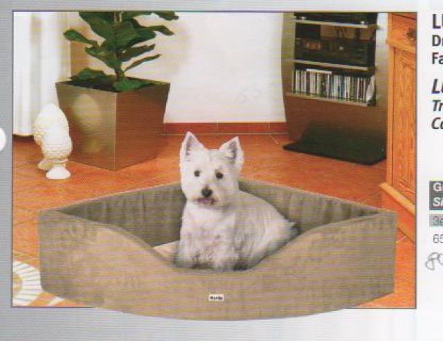 Hundesalon - Tiere - garbsen