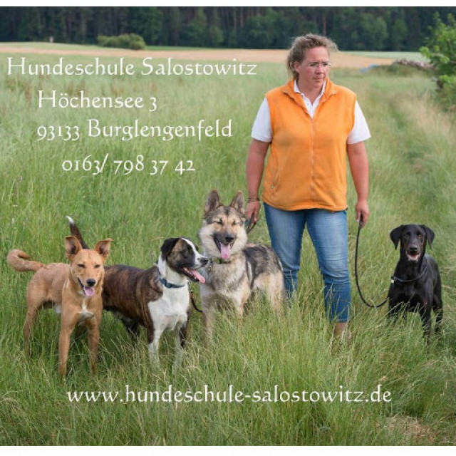 Hundeschule-Pension-Hundezentrum-Oberpfalz - Tiere - Burglengenfeld Hundeschule-Pension-Hundezentrum-Oberpfalz - Tiere - Burglengenfeld