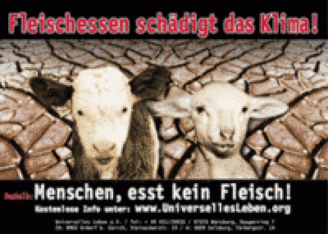 Fleischkonsum schadet! - Promotion Pressemitteilungen - 