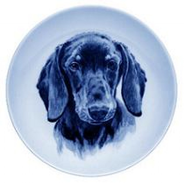 Petdomain.de - Gewinnspiel - Tiere - Bünde