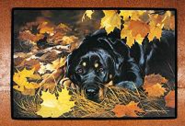 Petdomain.de - Heimtierbedarf - Tiere - Bünde