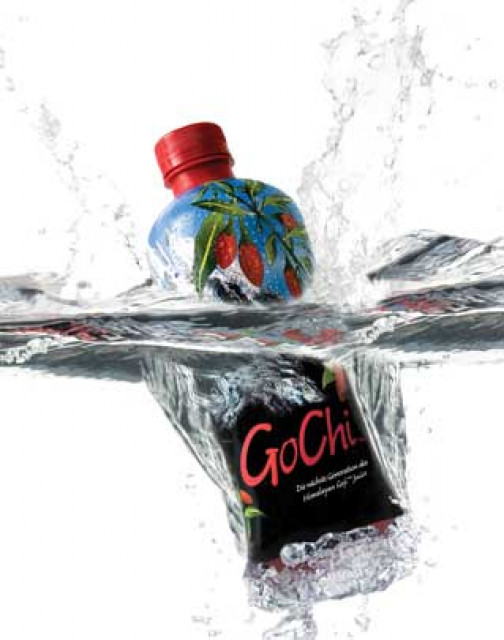 Die Nachfrage nach GoChi - Dienstleistungen Business Gewerbe - 