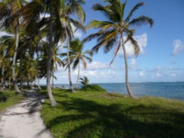 Dom.Rep. DZ/AI,Flug ab 279€ - Urlaub Reise - Düsseldorf