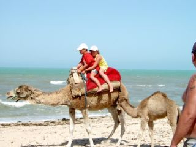 Tunesien 14 Tage ab 303 € - Urlaub Reise - Düsseldorf
