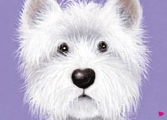 Heimtierbedarf Petdomain.de - Tiere - Bünde
