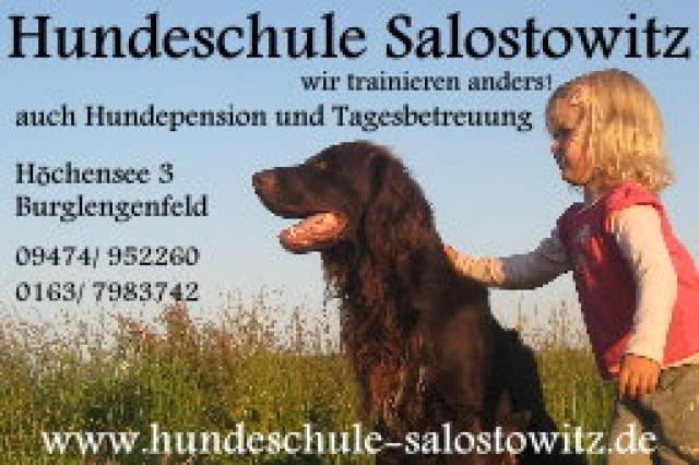 Die etwas andere Hundeschule . - Tiere - Burglengenfeld