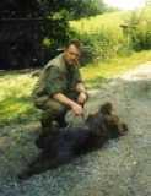 Hundeschule-Salostowitz - Tiere - Schwandorf