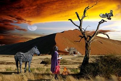 Indien und Afrika Reisen - Tipps und Informationen rund um die Reise nach Indien - Urlaub Reise - wien