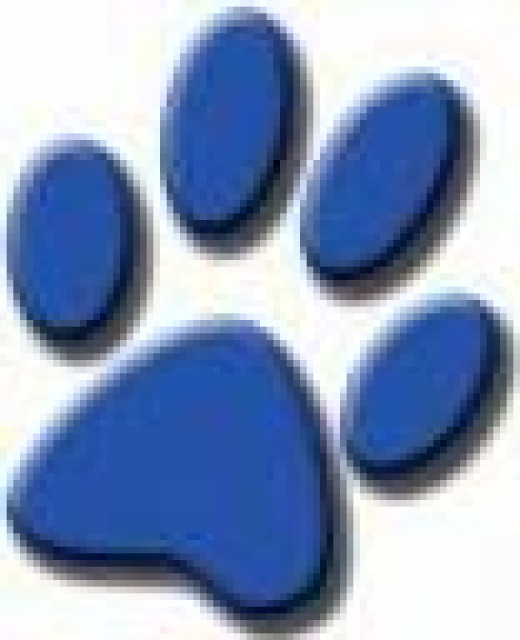 Tier4you - Tiere - wien