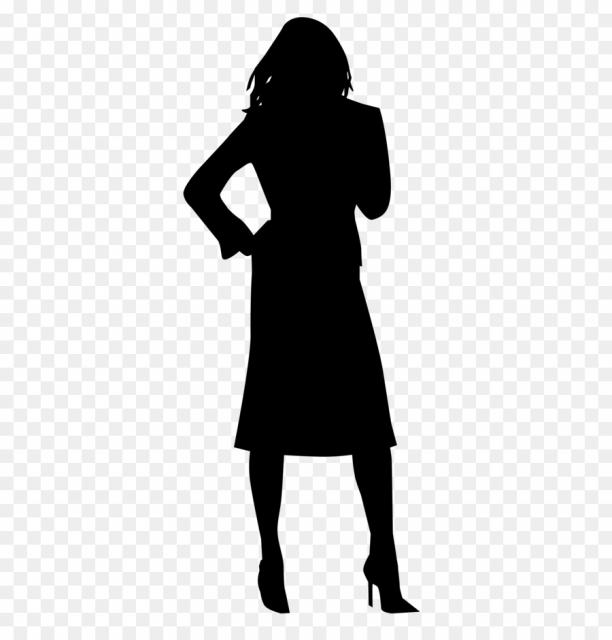 Suche Tätigkeit als Assistentin im gehobenen Dienst - Dienstleistungen Business Gewerbe - Dresden