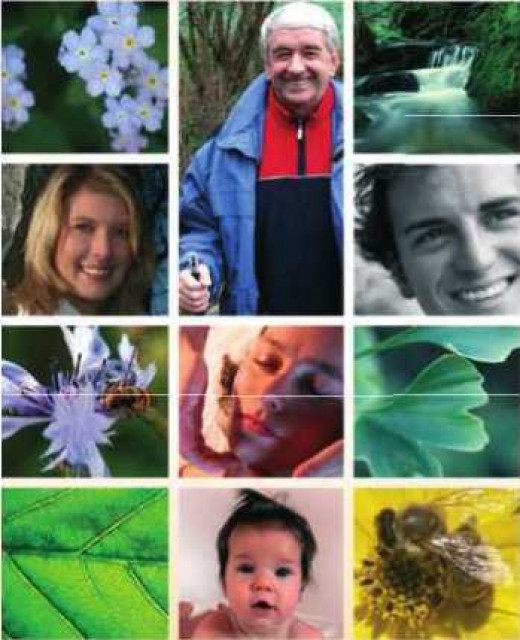 Sauerstoff Elixier des Lebens - Wellness Gesundheit - Langkampfen